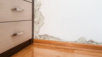 Damp Proofing